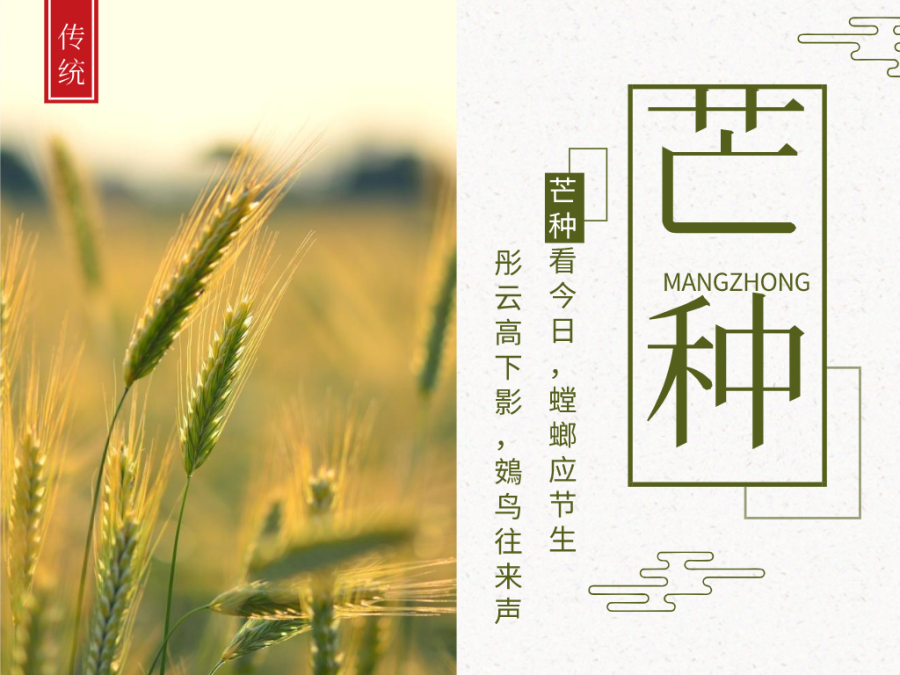 今日芒種，忙有所獲，不負(fù)耕耘！